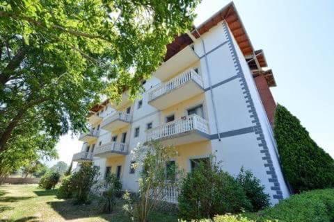 Viluni Shkoder